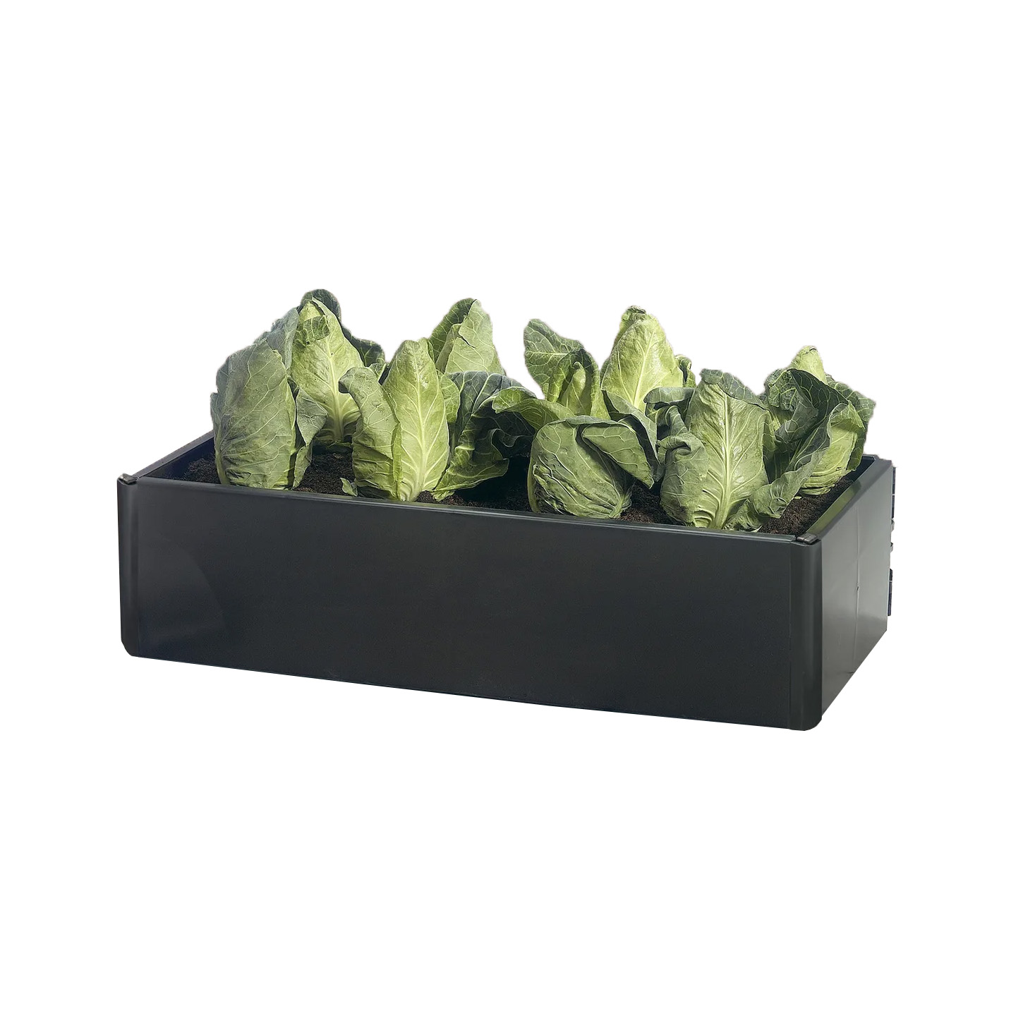 Planters